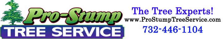 Pro Stump Top Banner 2020